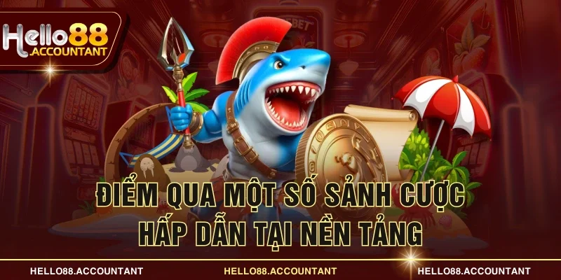 Điểm qua một số sảnh cược hấp dẫn tại nền tảng
